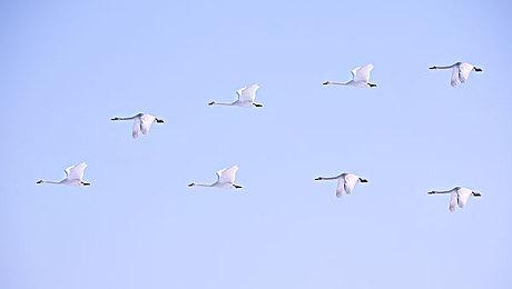 《机动战士高达：激战任务 代号妖精》第一卷今日上线 售价128元